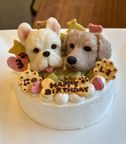 似顔絵ケーキのツインズバージョンです 1