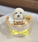 ノワールデコ３号 3