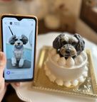 ノワールデコ３号 5