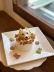 ノワールデコ 1
