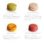 ベーシックマカロン12個セット（冷凍） 2