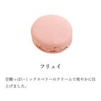 ハートのマカロン2個セット （冷凍） / 「ジュテーム」 5
