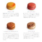 ギフト お中元 ベーシック マカロン 人気12個セット(冷凍) 5