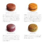 ギフト お中元 ベーシック マカロン 人気12個セット(冷凍) 6