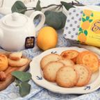 レモンケーキ 焼き菓子 ボワット・ド・シトロン 詰め合わせ 2種アソート 7個入り 3