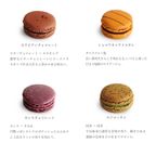 ベーシックマカロン12個セット（冷凍） 3