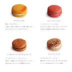 ベーシックマカロン12個セット（冷凍） 4