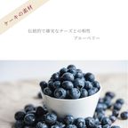 【ホールケーキ】ローズ&ベリーケーキ 「ふりふりレアチー」 小麦 ・ 乳 ・ 卵 不使用 4号  5