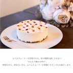 【低糖質】 誕生日ケーキ 「ふりふりレアチー」 ドライフルーツ 4号 グルテンフリー 低糖質 糖質制限 スイーツ チーズケーキ お菓子 乳製品不使用 誕生日 送料無料 ケーキ バースデー プチギフト アソート 糖質オフ お中元 敬老 10