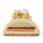 はだかの王様のチーズケーキ（ピスタチオ＆ベリー） 3