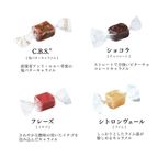 キャラメル缶（オレンジ） 4個入（アソート） 10