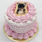 2号ケーキ 1