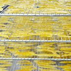 自家製ベルガモットコンフィ 4