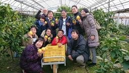 ベルガモットコンフィのショコラ 8