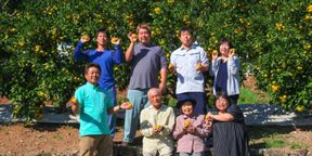 ベルガモットコンフィのショコラ 6