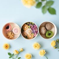 【父の日】＜うめとおはぎ＞花便りーマーガレットとライラック おはぎ7種7個