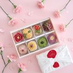 【母の日】＜うめとおはぎ＞hanaemu-はなえむ-おはぎ8個＜卵不使用無添加＞母の日2026 1