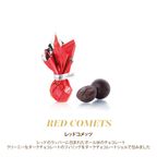 プレゼント缶 クリスマス アリス ブロー 6