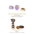 ハンパー スモール クリスマス アリス ブロー 10