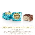 ミニブック缶 チョコビア クリスマス アリス ブロー 9