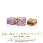 ギフトボックス クレミノ クリスマス アリス ブロー 5