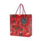 ラージギフトボックス ジャンドゥイオット＆クレミノ クリスマス アリス ブロー 7