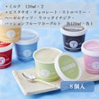 ジェラートセレクション（8個入）アイス 2026 3