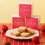 【数量限定・送料無料】TOKYO STRAWBERRY SAND 2個入り×3セット期間限定大特価 1