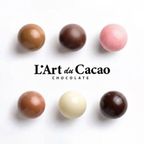 【送料無料・大特価】L’Art du Cacao（ラール・デュ・カカオ）プレミアムチョコレート 詰め合わせ30個入り（ランダム） 2