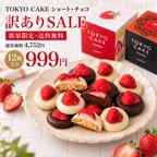 【数量限定＆送料無料】TOKYO CAKEショート＆チョコ12個 特別価格999円！ 1