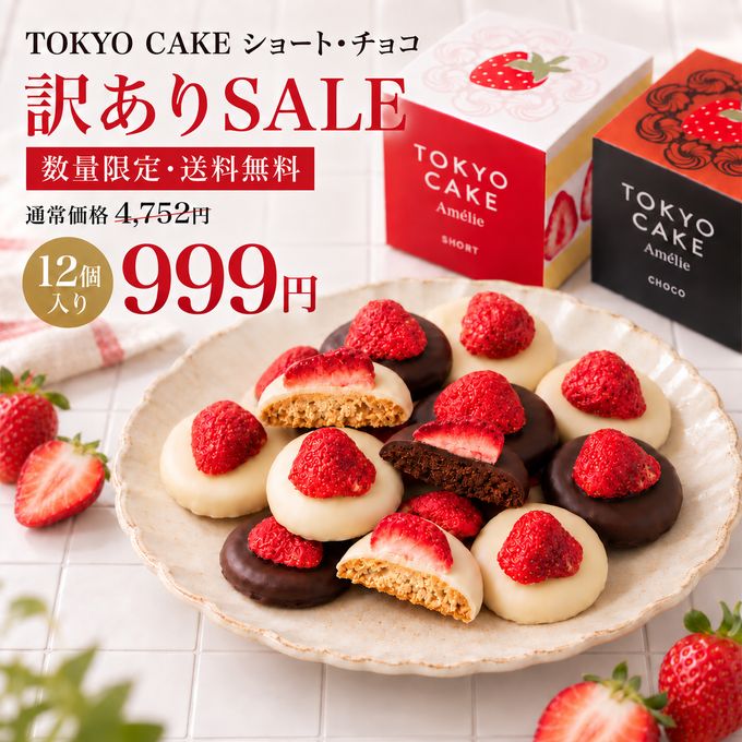 【数量限定＆送料無料】TOKYO CAKEショート＆チョコ12個 特別価格999円！ 1