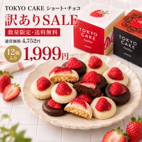 【数量限定＆送料無料】TOKYO CAKEショート＆チョコ12個 特別価格！