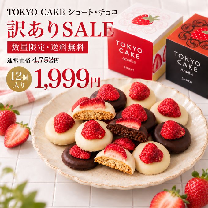 【数量限定＆送料無料】TOKYO CAKEショート＆チョコ12個 特別価格！ 1