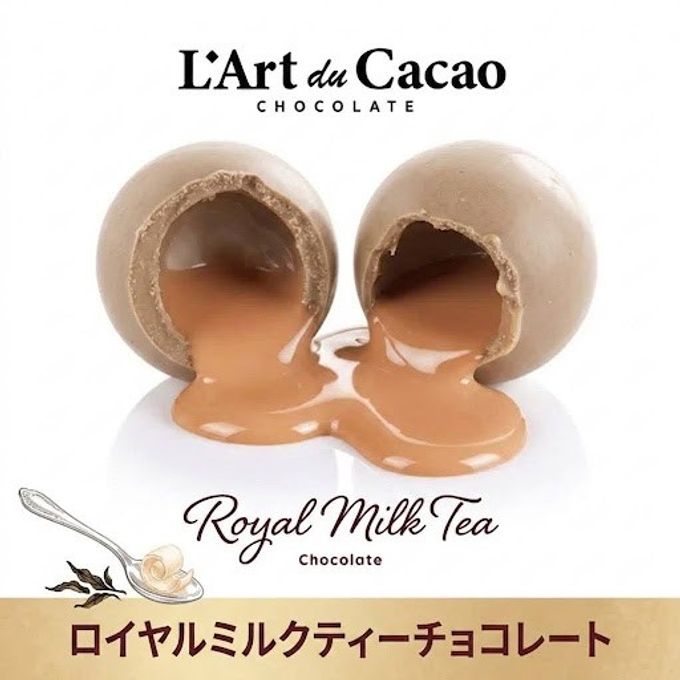 【送料無料・大特価】L’Art du Cacao（ラール・デュ・カカオ）プレミアムチョコレート 詰め合わせ30個入り（ランダム） 7