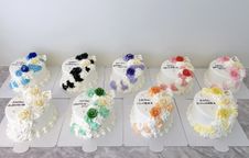 【選べる9色】当店人気No.1☆彡ルナムーンケーキ｜推しカラー対応｜生誕祭・本人不在の誕生日会 1