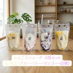 大島テラス960 ふるごろシェーク 4種セット（いちご・ブルーベリー・マンゴー・白桃）｜果肉ゴロゴロ 濃厚ミルクシェーク 冷凍スイーツ 2