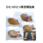 新潟名物 笹団子たい焼き 10個セット もちもち 冷凍 たい焼き専門店 大島テラス960 5