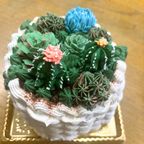 サボテンケーキ 多肉植物ケーキ 4号 冷凍 フルーツケーキ バタークリーム 誕生日ケーキ おしゃれ インスタ映え ギフト ホールケーキ 記念日 プレゼント 3