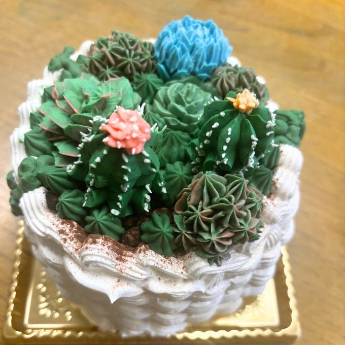 サボテンケーキ 多肉植物ケーキ 4号 冷凍 フルーツケーキ バタークリーム 誕生日ケーキ おしゃれ インスタ映え ギフト ホールケーキ 記念日 プレゼント 3