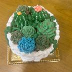 サボテンケーキ 多肉植物ケーキ 4号 冷凍 フルーツケーキ バタークリーム 誕生日ケーキ おしゃれ インスタ映え ギフト ホールケーキ 記念日 プレゼント 2