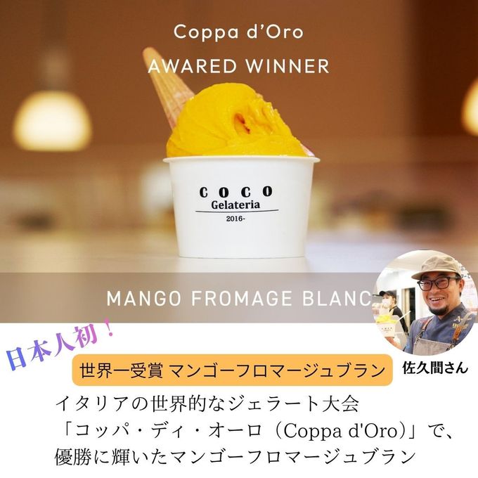 世界一受賞 ジェラート マンゴーフロマージュ 6個セット｜コッパ・ディ・オーロ優勝｜ジェラテリアココ ｜濃厚マンゴーソルベ 90ml×6 2