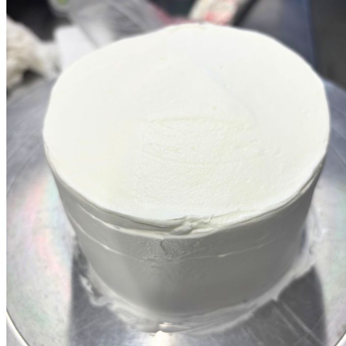 サボテンケーキ 多肉植物ケーキ 4号 冷凍 フルーツケーキ バタークリーム 誕生日ケーキ おしゃれ インスタ映え ギフト ホールケーキ 記念日 プレゼント 5