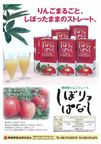 信州産りんごジュースしぼりっぱなし(1L紙パック×6)6.8kg 1