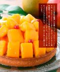 山盛りマンゴータルト3 3