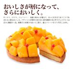 山盛りマンゴータルト5 5