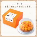 山盛りマンゴータルト7 7