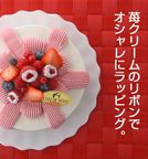 ラッピングスイート2 2