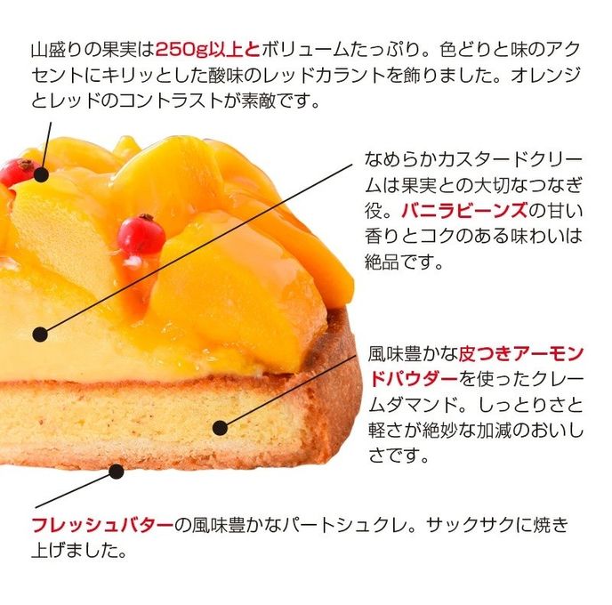 山盛りマンゴータルト6 6