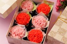 母の日の練り切り『 カーネーション 』 6個入 1