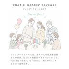 ジェンダーリビールケーキ 3号 9cm◎ / サプライズ 記念日 お祝い 6